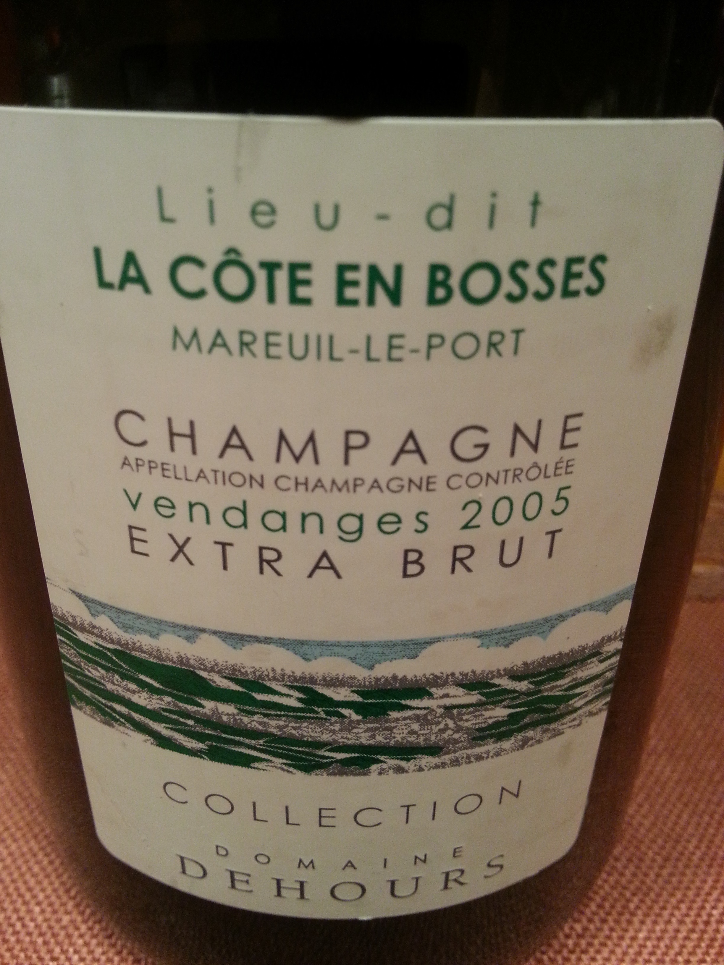 2005 Champagne La Côte en Bosses | Dehours